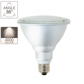 ALPAR38 1200 Lumens E27