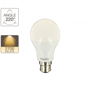 Ampoule LED A60, culot B22, classique