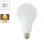 Ampoule LED A60, culot E27, classique