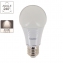 Ampoule LED A60, culot E27, classique