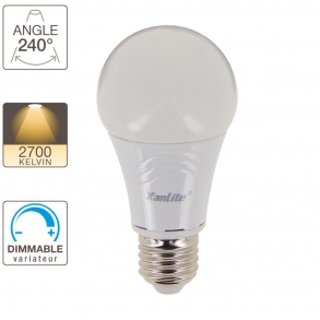 Ampoule LED globe A60, culot E27, dimmable