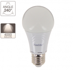Ampoule LED globe, culot E27, classique