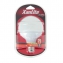Ampoule LED globe G95, culot E27, classique