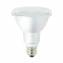 Ampoule LED PAR30, culot E27, classique
