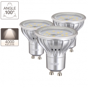 Pack de 3 ampoules LED spot, culot  